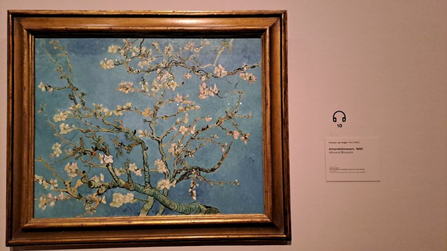 Amsterdam, Van Gogov muzej, badem cveta